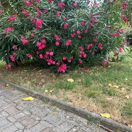 Appartement Parking Prive Balcon Cafe